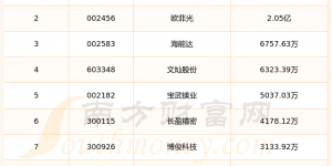 华为问界M7概念股10强：2024年第二季度财务费用排名